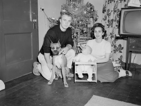 Photo Family portrait