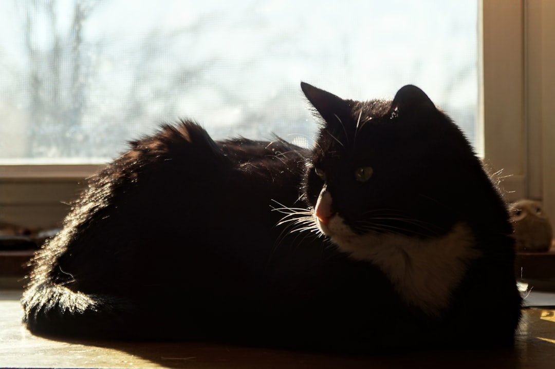 Photo Stoic philosopher