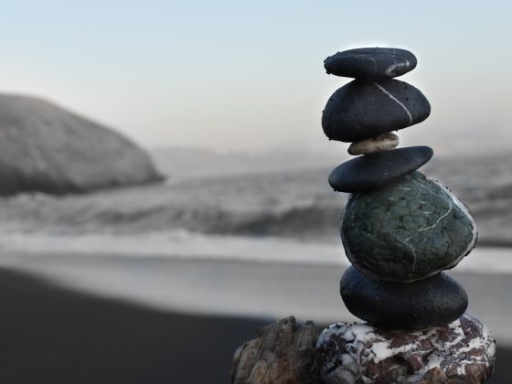 Photo Natures harmony
