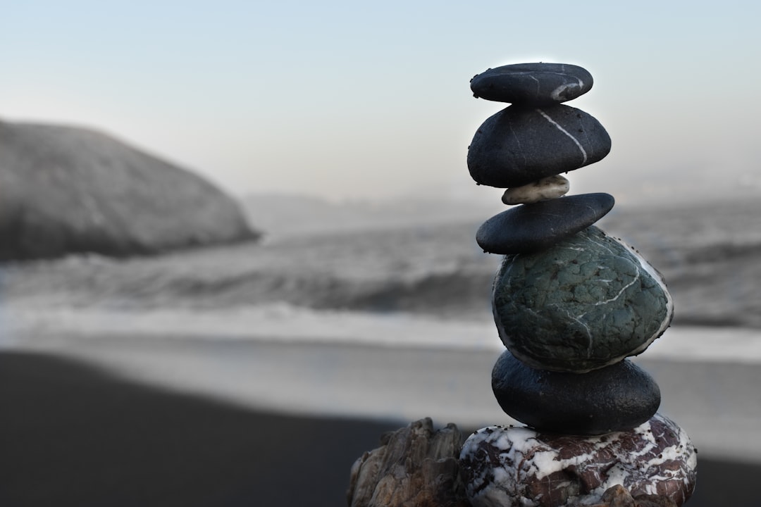 Photo Natures harmony