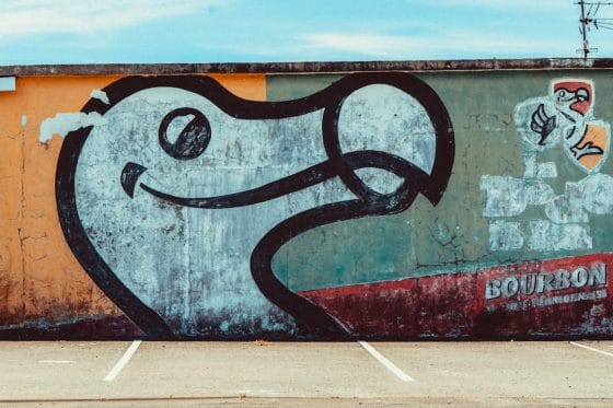 Photo Artistic expression