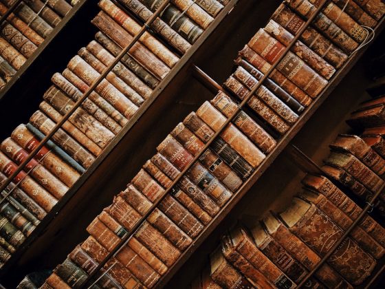 Photo Montaignes library
