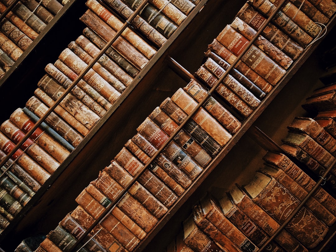 Photo Montaignes library