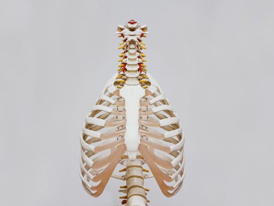 Photo Body and illness