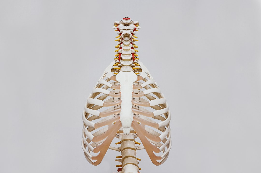 Photo Body and illness