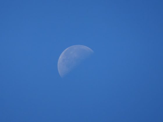Photo Harmonious Universe