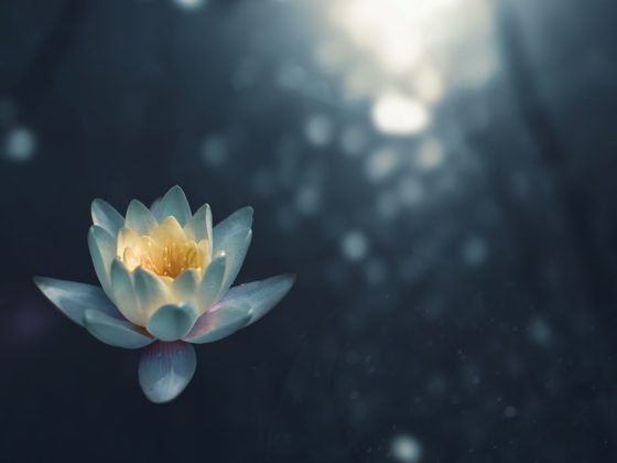 Photo Eastern meditation