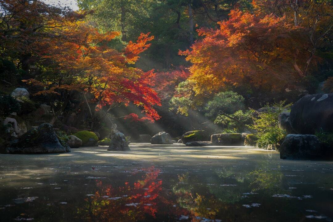 Photo Japanese garden