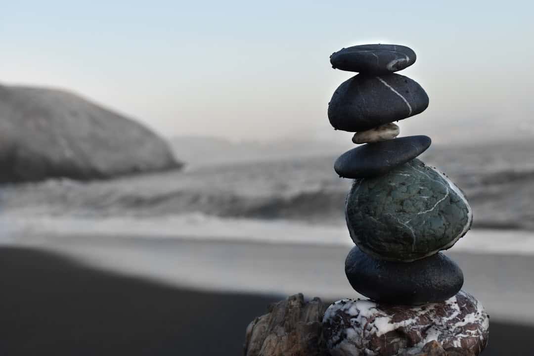 Photo Zen garden