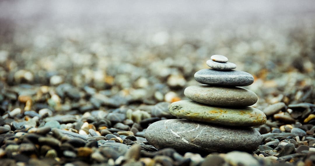 Photo Zen garden