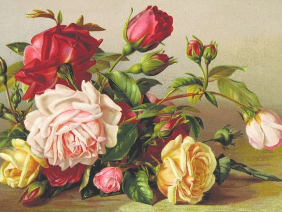 Photo Historical painting