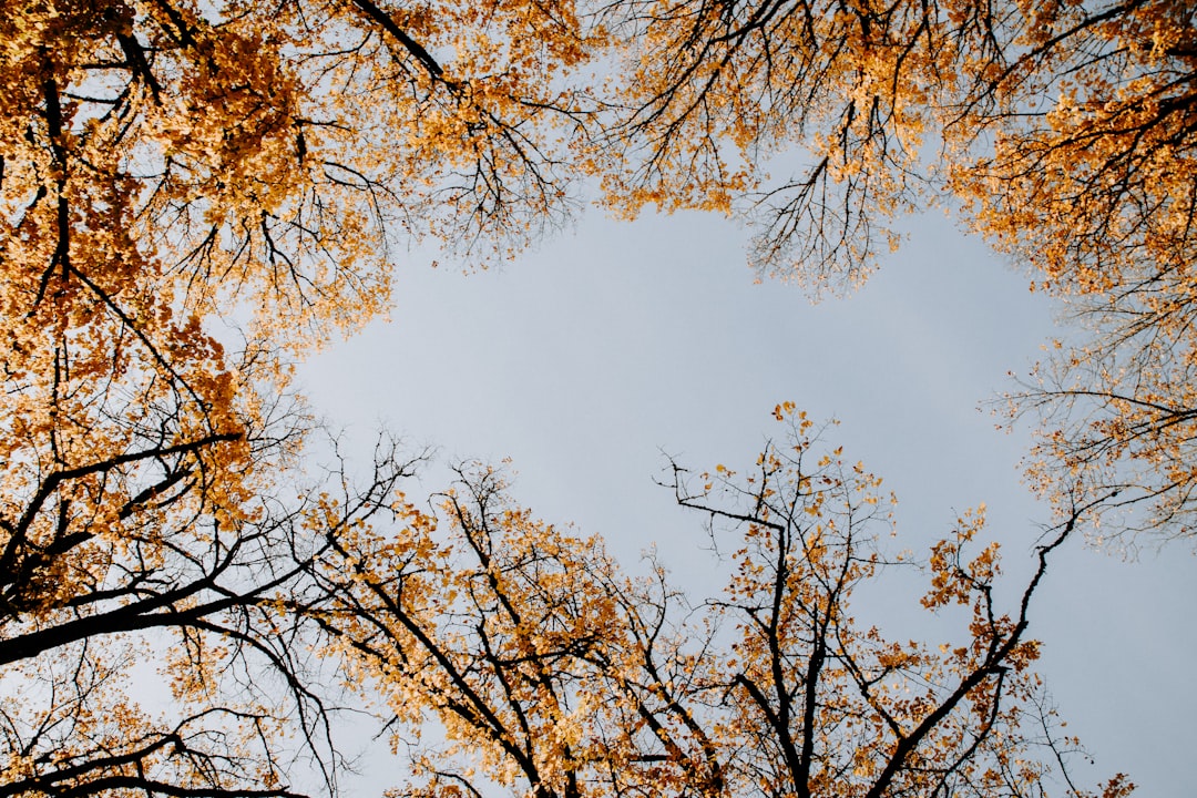 Photo Internal perception